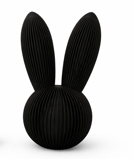 Skandi Hase