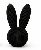 Skandi Hase