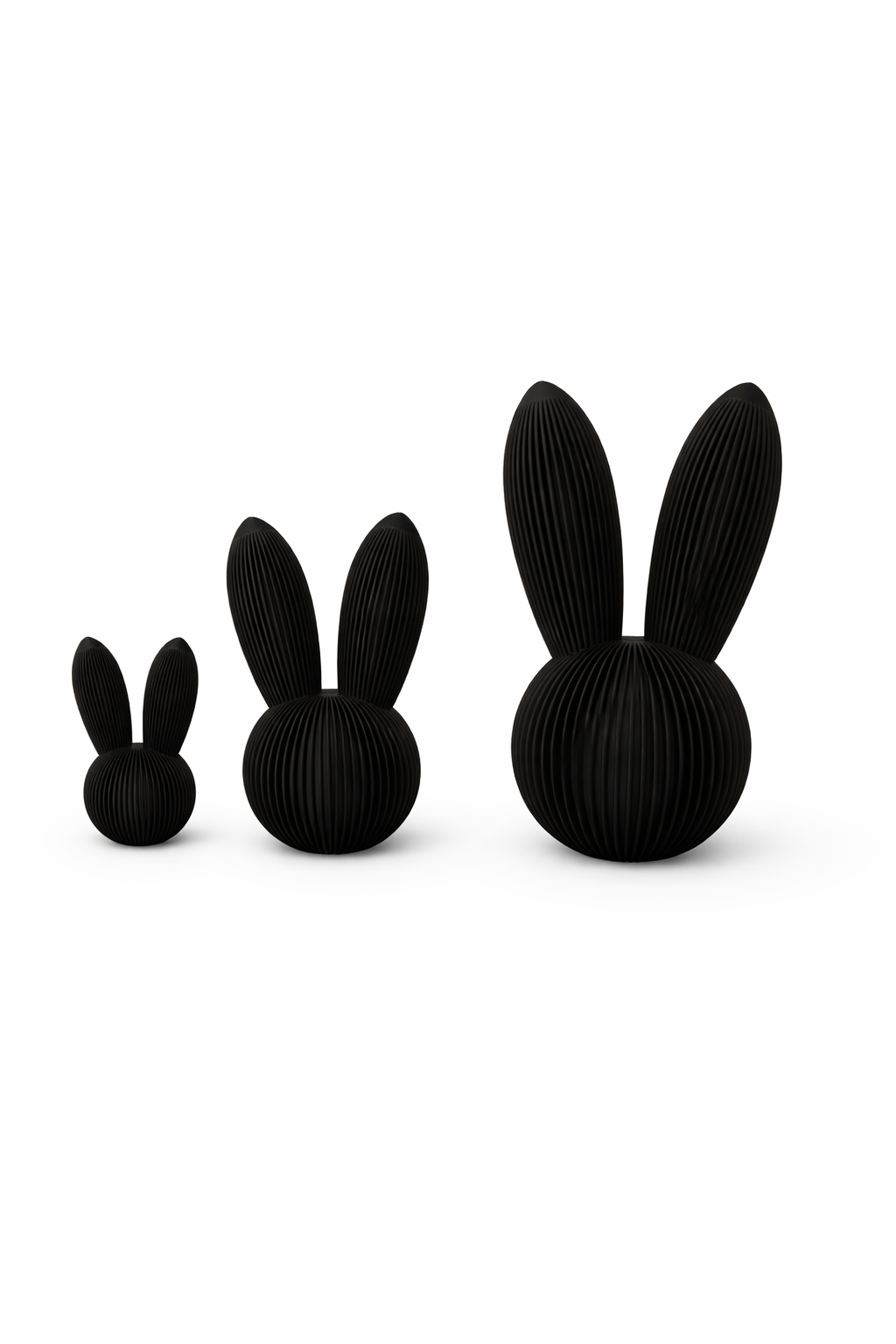 Skandi Hase
