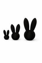 Skandi Hase