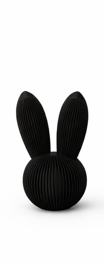 Skandi Hase