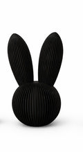 Skandi Hase