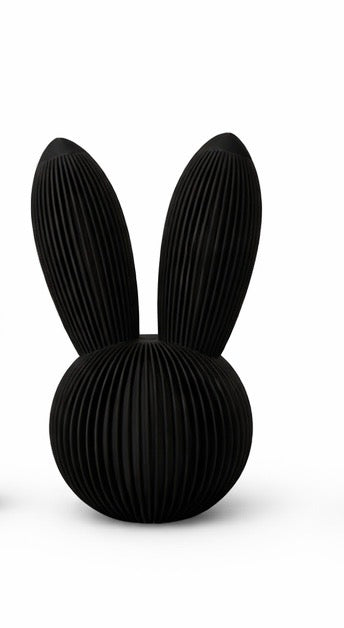 Skandi Hase