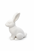 Hasi