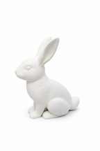Hasi