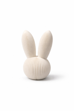 Skandi Hase